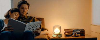 Veilleuse automatique rechargeable